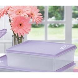 Caixa Vesatil - 2500ml Tupperware